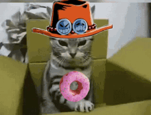 Cat Box Cat Ace GIF - Cat Box Cat Ace Ace Box GIFs