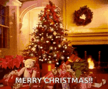 christmas presents christmas tree merry christmas seasons greetings holiday