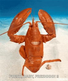 a picture of a lobster with the words fresh baby freshhhh