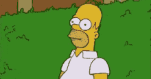 Simpson Homer GIF - Simpson Homer Merging Hedge GIFs