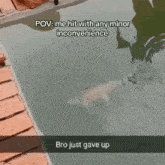 a dog is swimming in a pool with a caption that says " pov : me hit with any minor inconvenience bro just gave up "