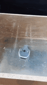 a small toy boat is floating on top of a wooden surface .