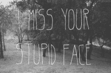 Miss You GIF - Miss You I Miss Your Stupid Face GIFs