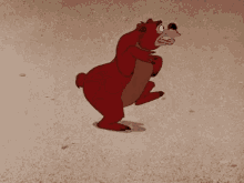 Frantic Bear GIF - Frantic Bear Cartoon GIFs