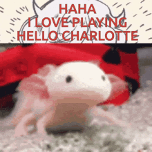 Hello Charlotte Axolotl GIF - Hello Charlotte Axolotl GIFs