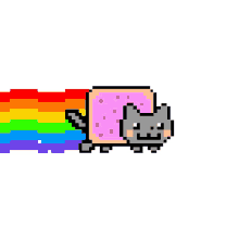 cat nyan cat poptart rainbow meow