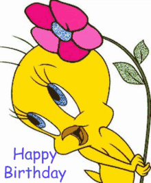 happy birthday to you flower tweety bird celebrate your special day