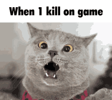 Game Kill GIF - Game Kill One Kill GIFs