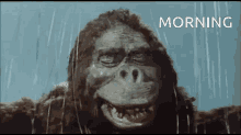 Kong Morning Sleepy GIF
