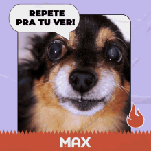 Repete Max Total Alimentos GIF - Repete Max Total Alimentos GIFs