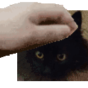 Rombusz Cat Sticker - Rombusz Cat Black Stickers