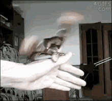 Fingers Thump GIF - Fingers Thump Butterfly GIFs