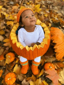 a baby is sitting inside of a carved pumpkin surrounded by pumpkins .