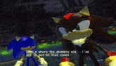 sonic the hedgehog and shadow the hedgehog are in a video game