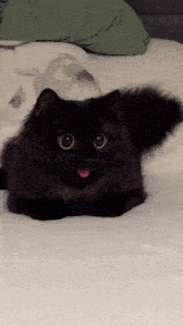 a black cat is laying on a bed with its tongue out