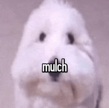 Mulch Mulchgang GIF - Mulch Mulchgang Gang GIFs