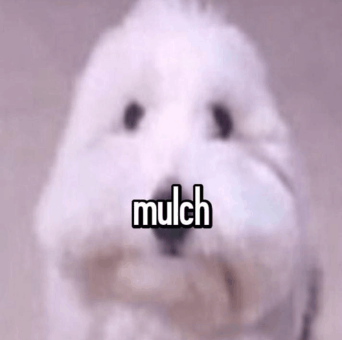 mulch-mulchgang.png