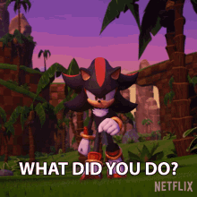 What Did You Do Shadow The Hedgehog GIF - What Did You Do Shadow The Hedgehog Sonic Prime GIFs