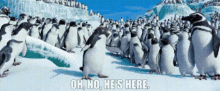 Happy Feet Two Ramon GIF - Happy Feet Two Ramon Oh No Hes Here GIFs