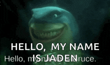 a shark is smiling and says hello , my name is jadenruce .