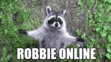 Robbie Online GIF - Robbie Online GIFs