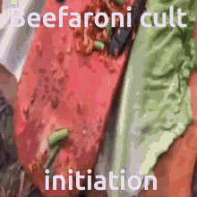 Beefaroni GIF - Beefaroni GIFs