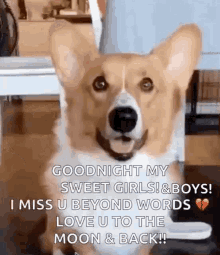 Miss You Snoot Challange GIF - Miss You Snoot Challange Love You GIFs