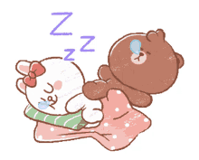 brown and cony bear sleep