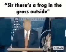 Frog Sir GIF - Frog Sir Trump GIFs