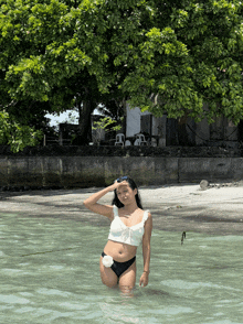 a woman in a bikini stands in the water near a tree