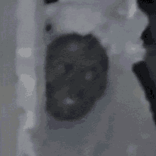 Pocong Scary GIF - Pocong Scary Ghost GIFs