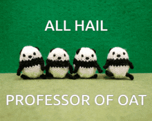 four knitted panda bears are lined up in a row with the words all hail professor of oat below them
