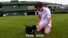Andy Murray Keep Away GIF - Keep Away Puppy Andy Murray GIFs