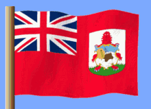 Bermuda GIF