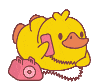Girl Talk Duck Sticker - Girl Talk Duck Cute Stickers