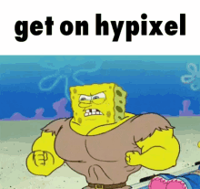 Get On Hypixel Hypixel GIF - Get On Hypixel Hypixel Flex GIFs