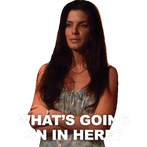 What'S Going On In Here Sally Owens Sticker - What'S Going On In Here Sally Owens Sandra Bullock Stickers