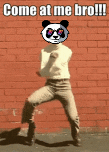 a panda wearing sunglasses is dancing in front of a red brick wall with the caption come at me bro
