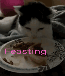 cat cry catcry wvexyz feasting