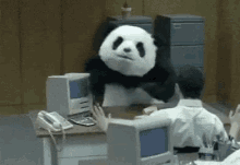 angry panda panda cheese violent panda commercial