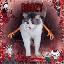 a cat is smoking a cigarette and has the word boozy written above it