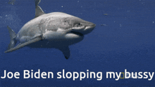 Slop Joe Biden GIF - Slop Joe Biden Shark GIFs