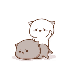 GIF
