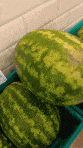 Watermelon Dance GIF