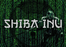 Shibrother Shibfamily GIF - Shibrother Shibfamily Shibainu GIFs