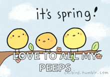 Happy First Day Of Spring Birds GIF - Happy First Day Of Spring Birds Its Spring GIFs