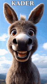 a cartoon donkey with the name kader on the bottom