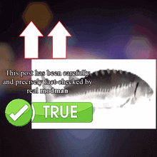 a picture of a fish with the words " this post has been carefully and precisely fact-checked by real modman " below it