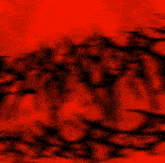 a painting of red and white flowers on a black background with the number 0 in the middle