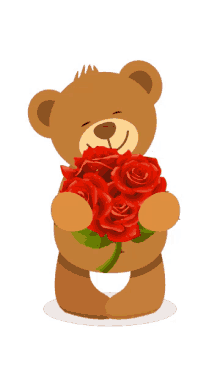 bear love you roses flower for you cute